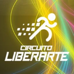 Organizador: AMARTE INC 