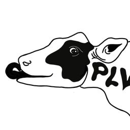 Organizador: Palpa La Vaca