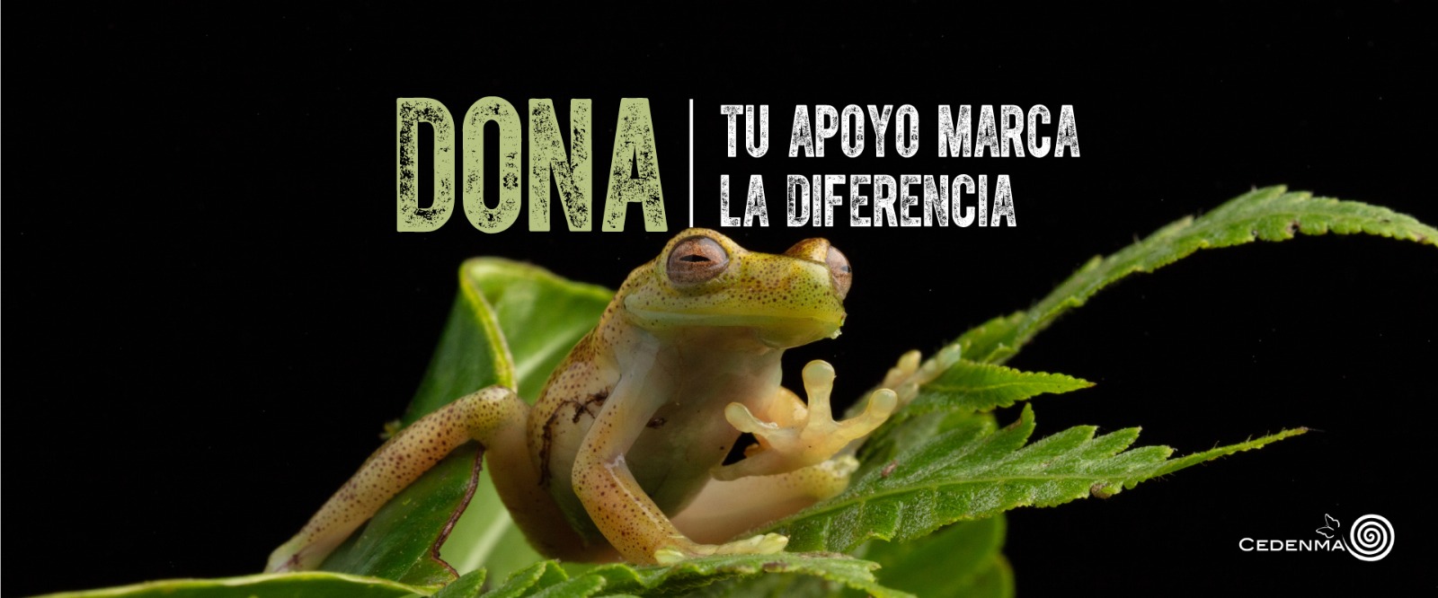 TU APOYO HACE LA DIFERENCIA en Quito, BuenPlan